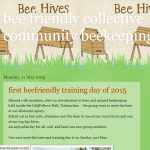 bee friendly collective