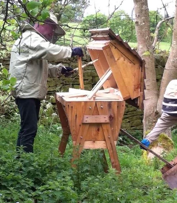 Gill and Iain encouraging a swarm into a top bar beehive