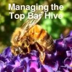 managing the top bar hive