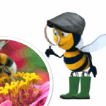 protecting farmland pollinators
