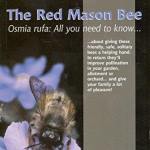 red mason bee book